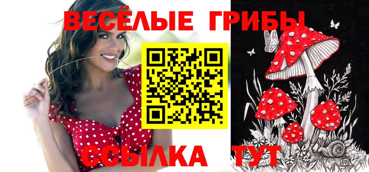 Галлюциногенные грибы мухоморы Владимир