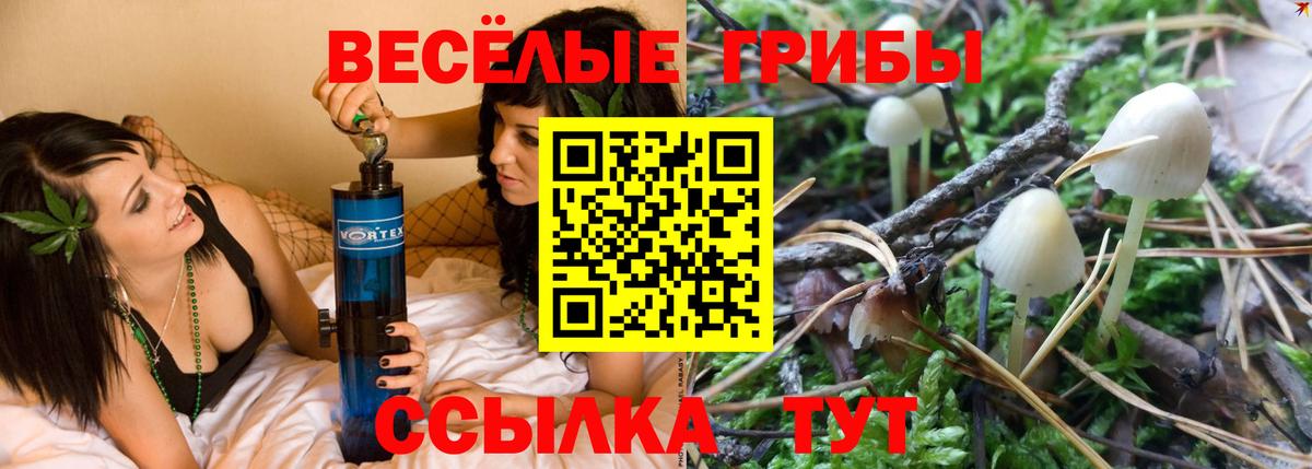 Псилоцибиновые грибы мухоморы  Вход с VPN  Галлюциногенные грибы Psilocybine cubensis  Владимир 